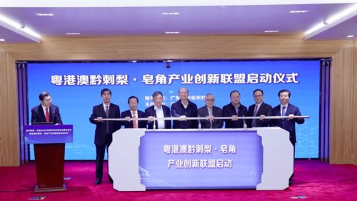 深山小野果，粤黔扶贫路 凌云集团供应链里的“小清新”选手